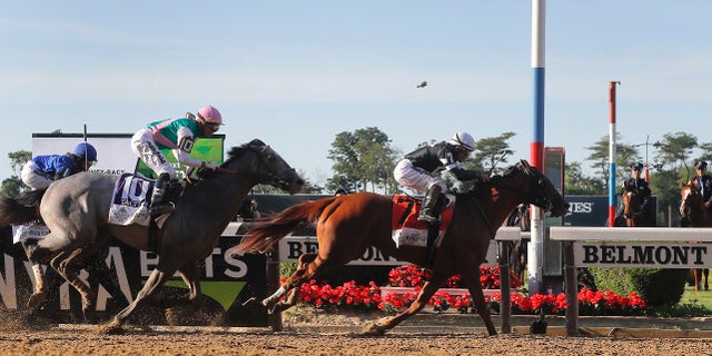 Sir Winston (7), with jockey Joel Rosario up, crosses the finish line ahead of Tacitus (10), with jockey Jose Ortiz up, to win the 151st running of the Belmont Stakes horse race, Saturday, June 8, 2019, in Elmont, N.Y. (AP Photo/Julie Jacobson)