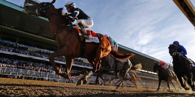 Sir Winston (7), with jockey Joel Rosario up, crosses the finish line to win the 151st running of the Belmont Stakes horse race, Saturday, June 8, 2019, in Elmont, N.Y. (AP Photo/Seth Wenig)