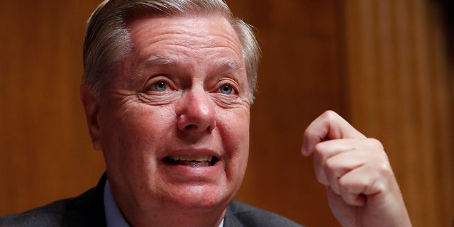 Chairman Sen. Lindsey Graham, R-SC., questions Acting Department of Homeland Security Secretary Kevin McAleenan at the Senate Judiciary Committee on Capitol Hill on Tuesday. (AP Photo/Pablo Martinez Monsivais)