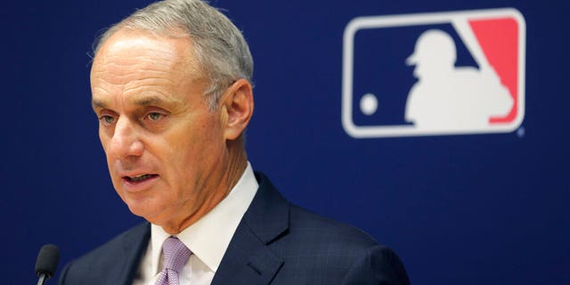 Major League Baseball Commissioner Rob Manfred speaks to reporters after a meeting of team owners in New York June 20, 2019.