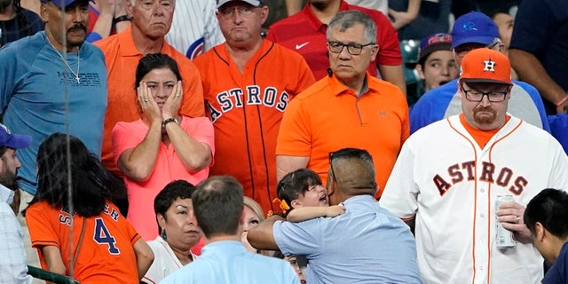 cubs game man steals little boys ball cubs game man steals little boys ball