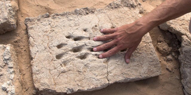 The fingerprints were found in bricks at the Hili 2 archaeological site in Abu Dhabi.