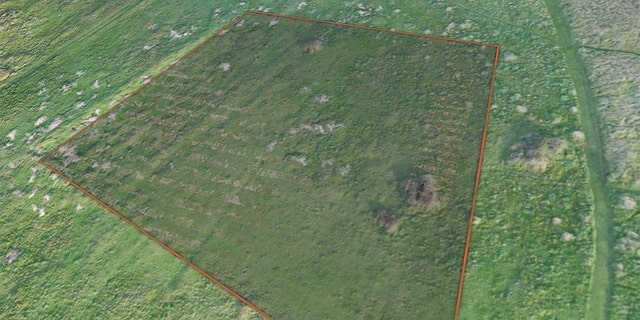 Drone photogrammetry data showing the area of the former forced and slave laborers’ cemetery on Longy Common.