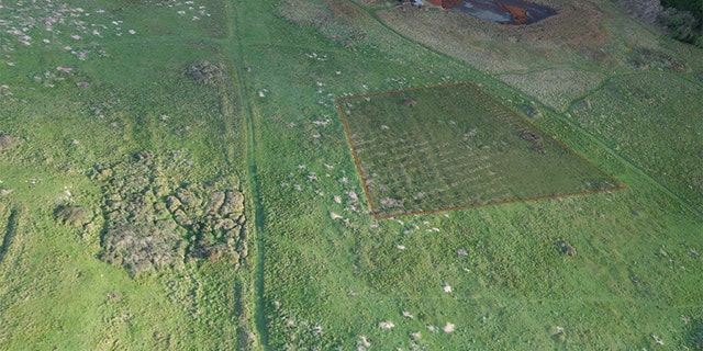 Drone photogrammetry data showing the area of the former forced and slave laborers’ cemetery on Longy Common.