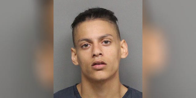 Kelly Save was reportedly arrested for disturbing the peace and carrying a concealed weapon.