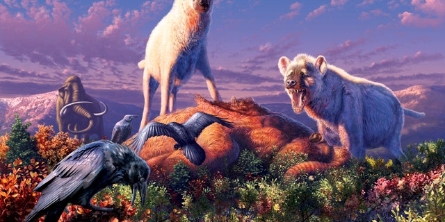 An illustration of two triumphant ancient hyenas (<i>Chasmaporthetes</i>) standing over their next meal in what is now the Yukon Territory of Canada.