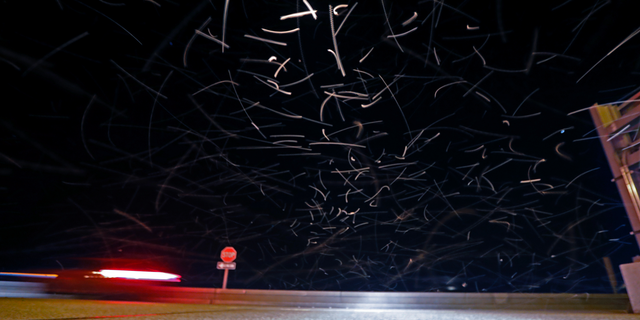In this time exposure of 1/10 second, a swarm of blind mosquitoes, or aquatic midges, is seen as traffic drives on the Causeway Bridge, with dead ones on the pavement, over Lake Pontchartrain, in Jefferson Parish, outside New Orleans, Tuesday, June 18, 2019. Billions of mosquito lookalikes are showing up in the New Orleans area, blanketing car windshields, littering the ground with bodies and even scaring some folks. They're aquatic midges, also called "blind mosquitoes," but these flies don't bite. However, the Motorist Assistance Patrol on the 24-mile-long Lake Pontchartrain Causeway has been stocking extra water to slosh down windshields. (AP Photo/Gerald Herbert)