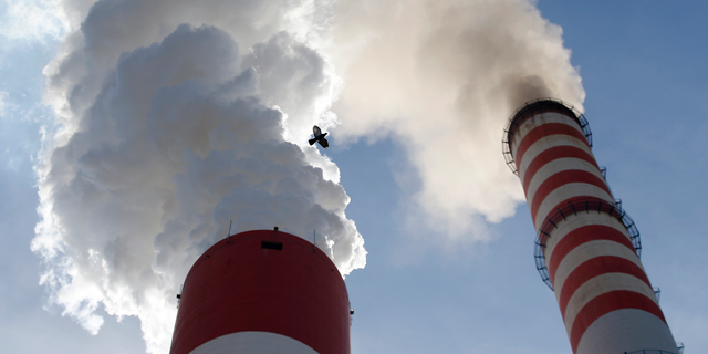Pollution from coal-fired power stations contributes to a range of health issues. (AP Photo/Darko Vojinovic, File)