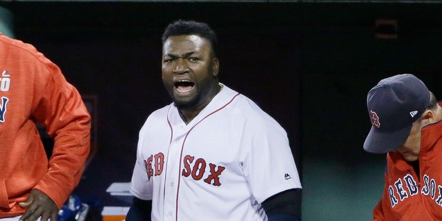 FILE - In this Oct. 10, 2016, file photo, Boston Red Sox designated hitter David Ortiz encourages the crowd from the dugout during the eighth inning in Game 3 of baseball's American League Division Series against the Cleveland Indians in Boston. Former Boston Red Sox slugger Ortiz was shot and wounded in his native Dominican Republic, his father told ESPN on Sunday, June 9, 2019.  (AP Photo/Elise Amendola, File)