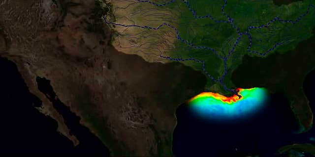 A visualization of the "dead zone" in the northern Gulf of Mexico.