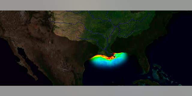 A visualization of the "dead zone" in the northern Gulf of Mexico.