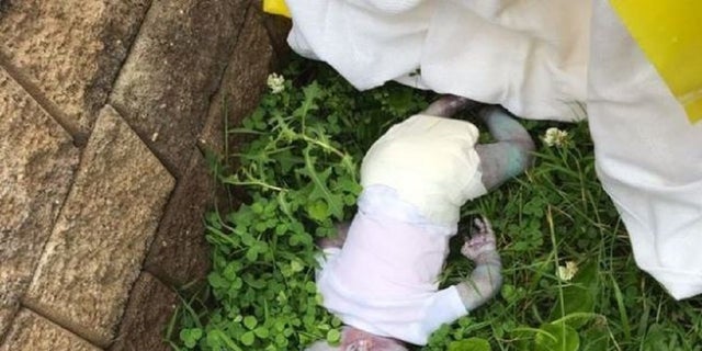 A report of a baby in a New York City park Tuesday was revealed to be a realistic-looking doll.