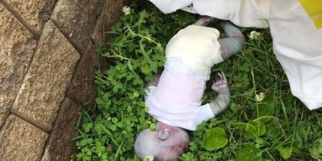 A report of a baby in a New York City park Tuesday was revealed to be a realistic-looking doll.