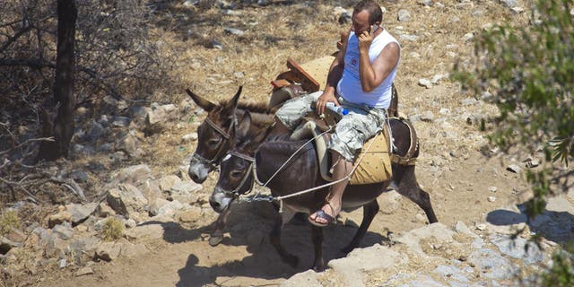 The issue made international headlines last summer, when the animal rights group Help the Santorini Donkeys began petitioning for a weight restriction for donkey riders.