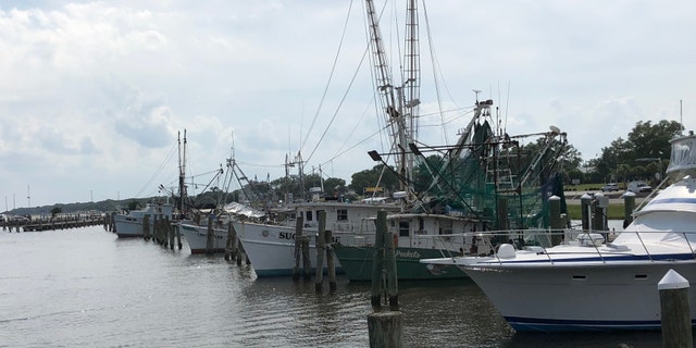 Commercial fishing boats sit in the Pass Christian Harbor in the Mississippi Gulf Coast after fresh water inundated the Mississippi sound and forced marine life to water where they can survive. (Fox News/ Charles Watson)