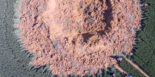 A big crater is pictured on a corn field after a bomb from the World War exploded in Halbach, Germany, Monday, June 24, 2019. The bomb must have stayed under the corn field since the World War until the chemical detonator reacted in the end. No one was injured. (Boris Roessler/dpa via AP)