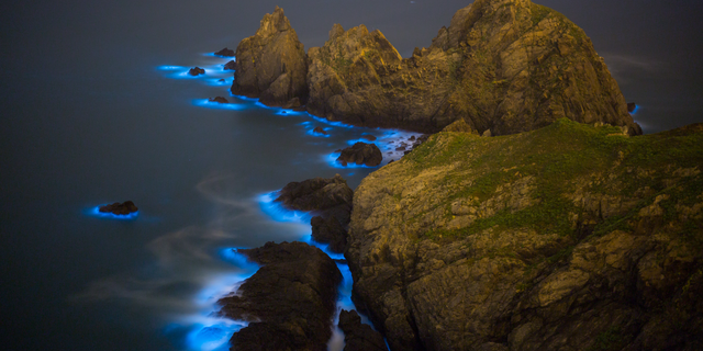 The "Blue Tears" in the East China Sea are actually caused by toxic algae, and new research suggests they are growing bigger every year.