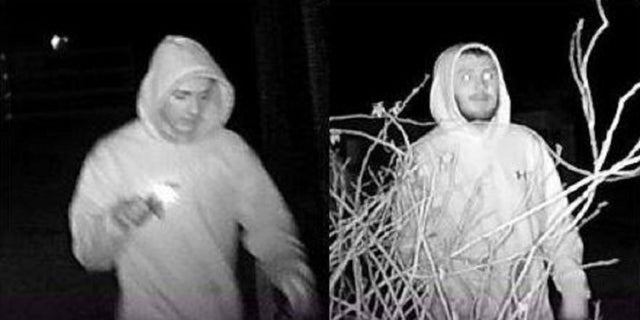 A group of men are accused of breaking into a Long Island, New York nature preserve and harassing the animals.