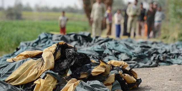 A hot air balloon exploded and plunged to earth at            Egypt's ancient temple city of Luxor during a sunrise flight            on Feb. 26, 2013, killing up to 19 tourists.