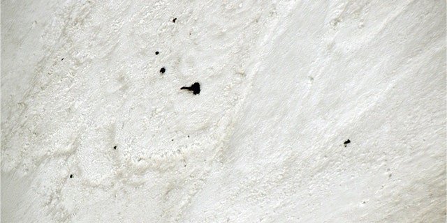 Equipment and bodies believed to be missing climbers can be seen partially buried in snow on Monday on Nanda Devi East in India.