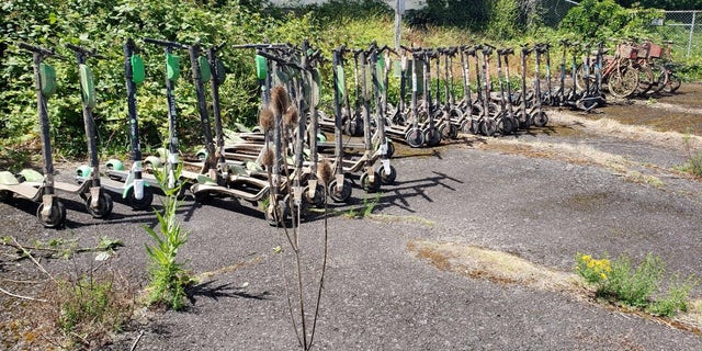 La Oficina del Sheriff del Condado de Multnomah recientemente llevó 57 scooters y bicicletas eléctricas durante un período de dos días en el río Willamette en Portland.