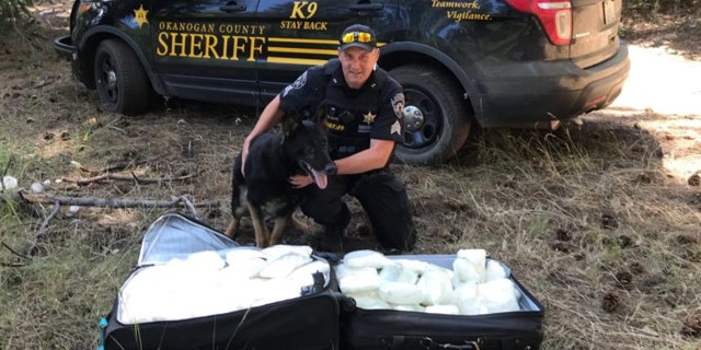 Sgt. Gene Davis and K-9 Gunner, pictured here, found two suitcases full of methamphetamine in the Okanogan National Forest on Monday, officials said.