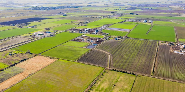 An aerial view of farmland in California's central valley. (iStock)