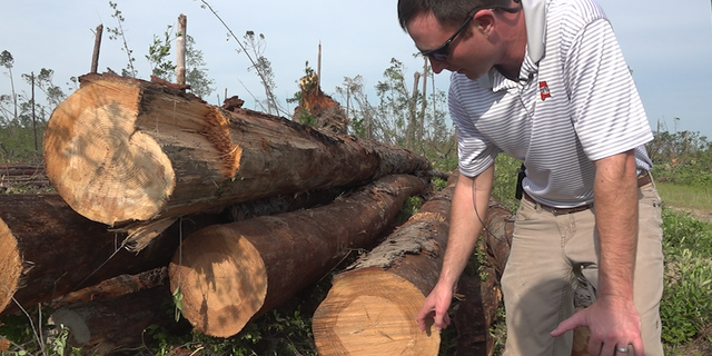 âThis is 60 years-worth of work and effort that was destroyed in about three and a half hours," said timber farmer Will Leonard.