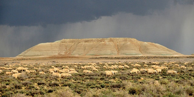 One of the new refuges where hunting and fishing would be allowed is Seedskadee National Wildlife Refuge, pictured, in Wyoming.