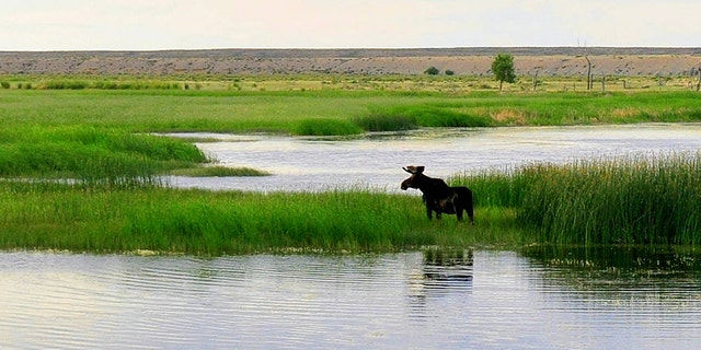 One of the new refuges where hunting and fishing would be allowed is Seedskadee National Wildlife Refuge, pictured, in Wyoming.