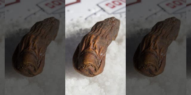Griffiths' toe (not pictured) will enter into a rotation with three other toes currently in rotation at the bar.