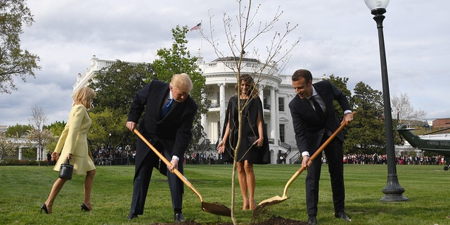 President Trump and first lady Melania Trump participate in a tree planting ceremony with French President Emmanuel Macron and his wife Brigitte Macron on the South Lawn of the White House in Washington, DC, on April 23, 2018. (JIM WATSON/AFP/Getty Images)