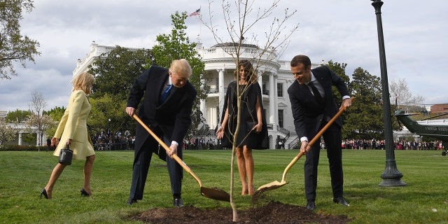 President Trump and first lady Melania Trump participate in a tree planting ceremony with French President Emmanuel Macron and his wife Brigitte Macron on the South Lawn of the White House in Washington, DC, on April 23, 2018. (JIM WATSON/AFP/Getty Images)