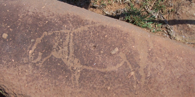 A rock carving of a hippo discovered at the site of the asteroid impact. (Dr. Matthew S. Huber)