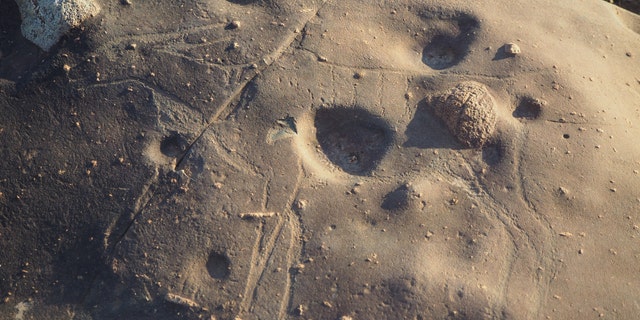 A rock carving of an antelope discovered at the site.