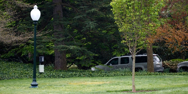 This Saturday, April 28, 2018, photo shows an empty area where a tree was planted by U.S. President Donald Trump and French President Emmanuel Macron during a tree planting ceremony on the South Lawn of the White House in Washington. (AP Photo/Carolyn Kaster)