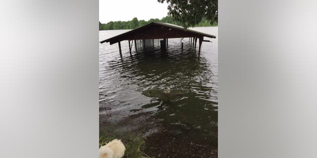Much of Willow Beach is already flooded.