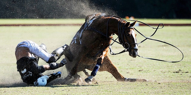 Federico Rooney was thrown from his horse during a match in Argentina on Sunday.
