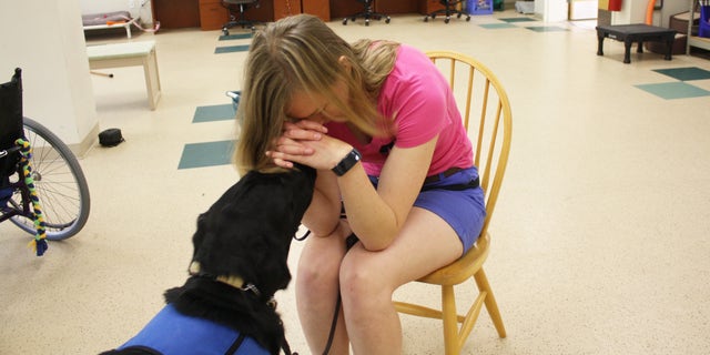 Jacobson is training Boise to recognize certain physical cues that mean the veteran may be in a heightened state of anxiety (notice the head in the hands). Boise is trained to interrupt distract, and provide comfort so this doesn’t manifest in a more severe way.