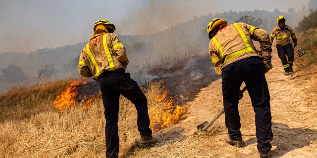 Firefighters try to extinguish a wildfire in Palma d'Ebre, near Tarragona, Spain, Thursday, June 27, 2019. Authorities suspect the cause of the outbreak was a deposit of improperly store(AP Photo/Jordi Borras)