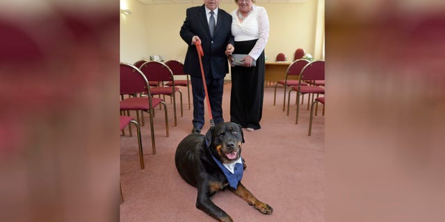 Christopher McCarron and Margaret Allison consider Jack, a rescue dog, part of their family.