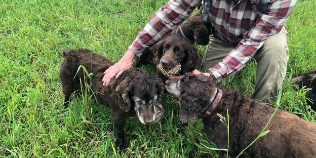 John Rucker of Montana with his dogs at Nachusa Grasslands in Franklin Grove, Illinois looking for ornate box turtles. (FOX NEWS/ MITTI HICKS)