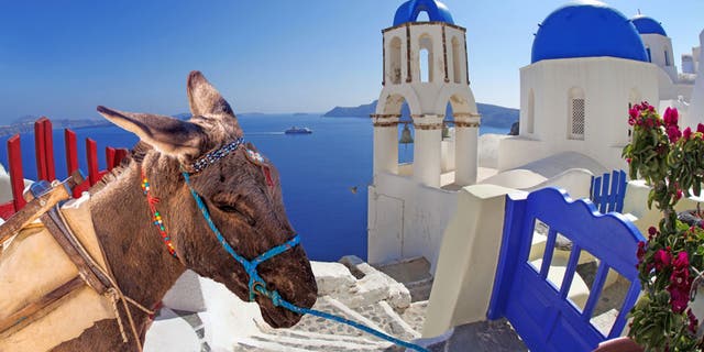 “We care about their well-being,” Santorini Mayor Nikos Zorzos told Reuters of the hardworking donkeys, detailing that elected officials had nothing to do with any thwarted advertising campaigns.