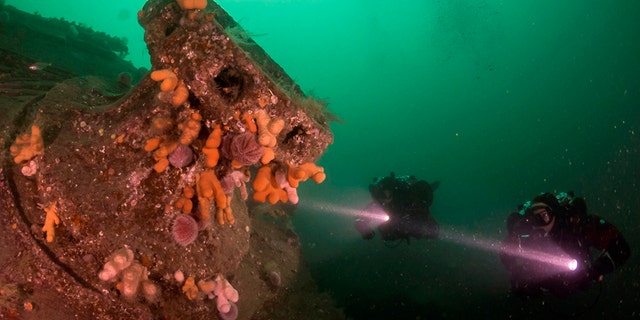 A winch on the SMS Karlsruhe. 2012. The wrecks of four WWI German battleships scuttled on the Orkney seabed - dreadnoughts Kronprinz Wilhelm, Konig, Markgraf, and the cruiser Karlsruhe - have been put up for sale on eBay. (Credit: SWNS)