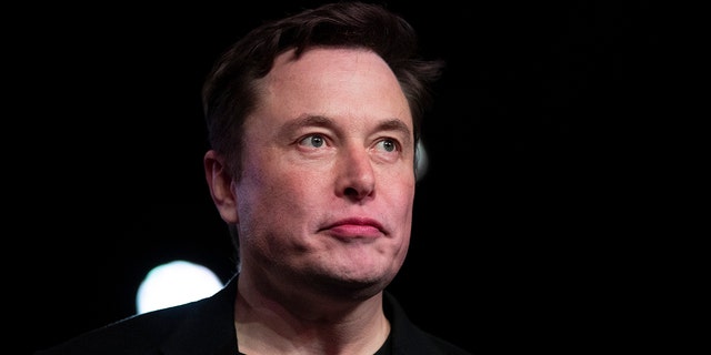 Dossier - Il 14 marzo 2019, il CEO di Tesla Elon Musk ha fatto una pausa mentre parlava prima di svelare la Model Y presso lo studio di design dell'azienda a Hawthorne, in California.  Musk affronterà gli azionisti del produttore di auto elettriche durante la riunione annuale della società martedì 11 giugno (AP Photo / Jae C. Hong, File)