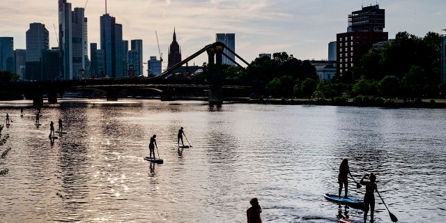 Stand up paddle boarders explore the river Main in Frankfurt, Germany, on a warm and sunny Monday evening, June 24, 2019.