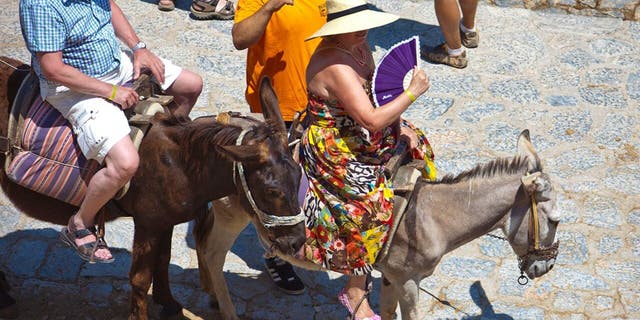 PETA is now accusing government officials of “blocking” their transportation campaign on buses and taxes, featuring the slogan “Donkeys Suffer for Tourists. Please Don’t Ride Them.”