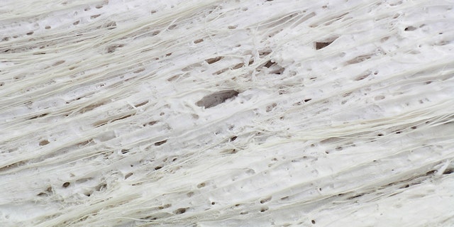 Sufuri Fieldshot at Yellowstone. (Credit: Bruce Fouke)