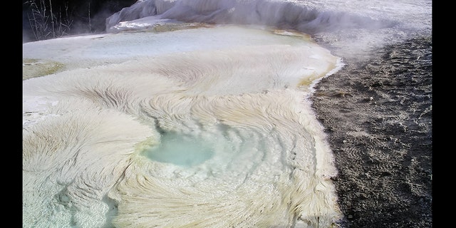 Spring System at Yellowstone. (Credit: Bruce Fouke)