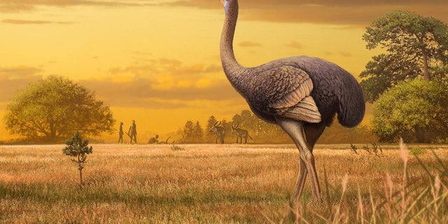PaleoArt of the bird discovered in a Crimean cave. (Credit: Andrey Atuchin)